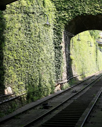 A view looking down a set of railway tracks through a stone archway, with walls heavily covered in green ivy and overhead electric lines visible.