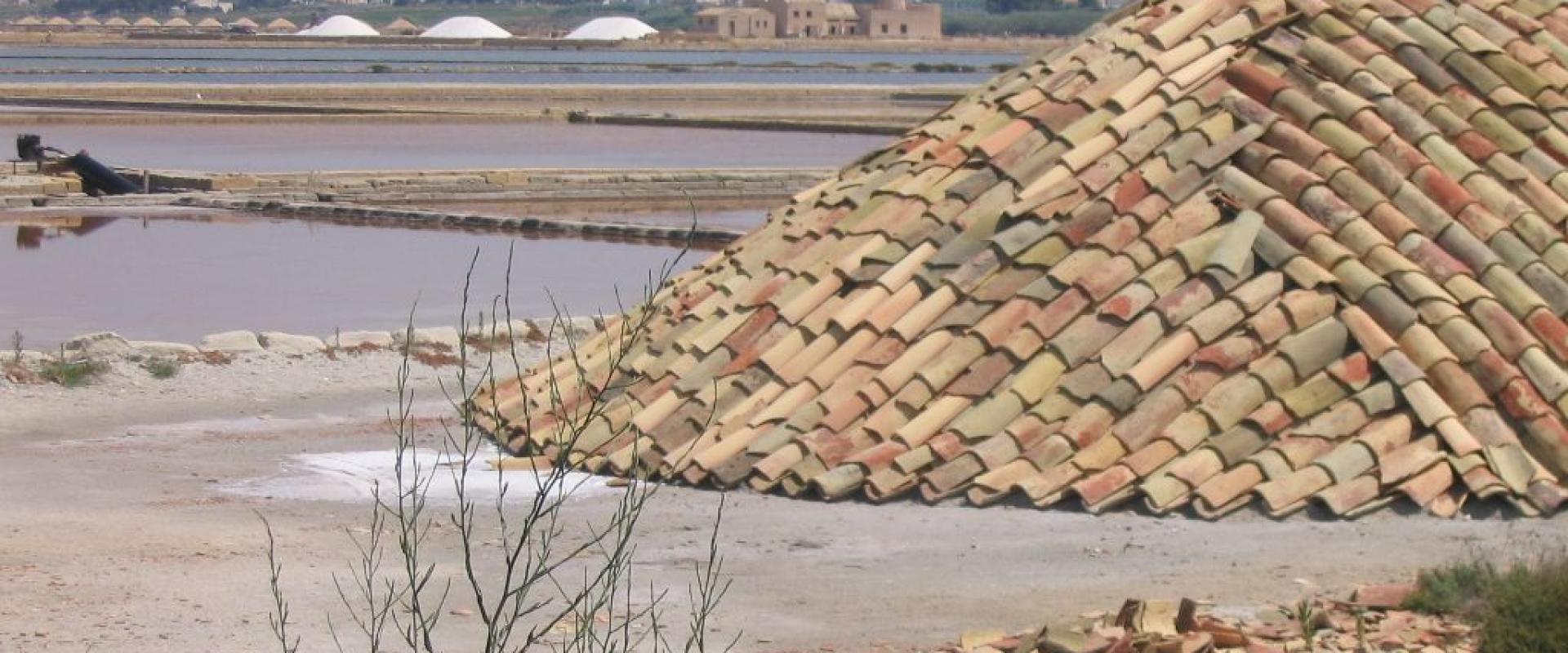 Saline di Trapani e Paceco (Marsala Section)