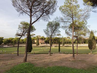 A wide view of a large, manicured lawn in a public park, featuring distinctive Italian stone pines and cypress trees, with people relaxing on the grass and a classical building visible in the background.