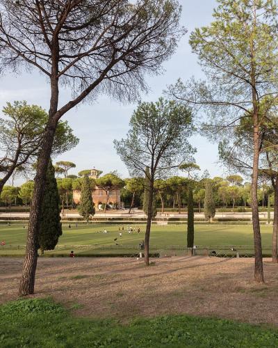 A wide view of a large, manicured lawn in a public park, featuring distinctive Italian stone pines and cypress trees, with people relaxing on the grass and a classical building visible in the background.