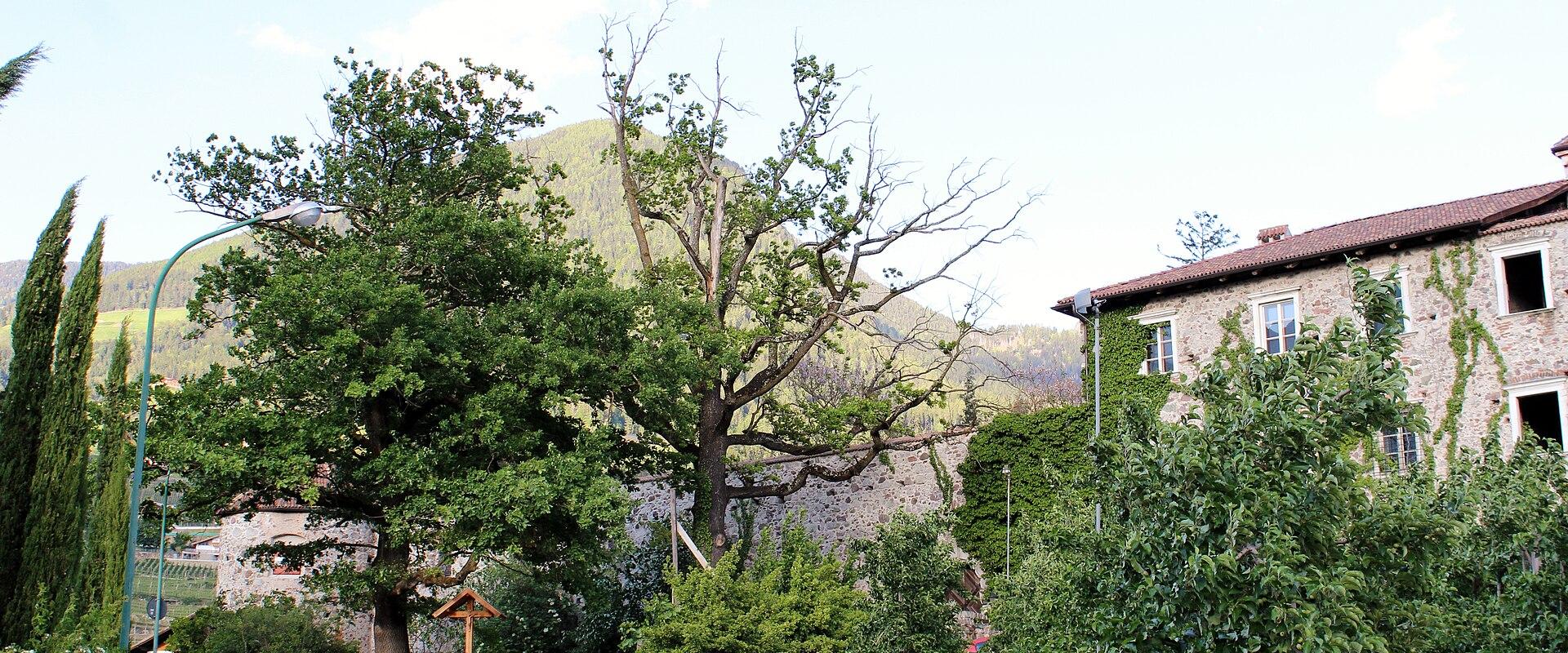 Merano Castle (Castello di Merano)