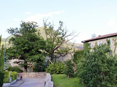 A paved path leading past stone walls and lush greenery towards a stone building with a tiled roof, set against a backdrop of a forested hill.