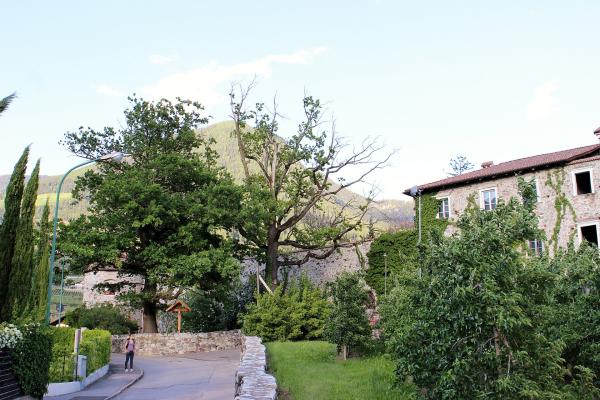 Merano Castle (Castello di Merano)