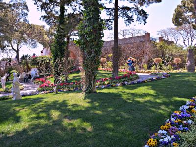 Flower beds and pines in the Gardens of Augustus, Capri