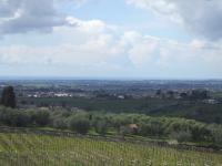 Rome and Surrounding Areas