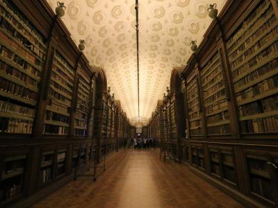A long, narrow library hall with floor-to-ceiling wooden bookshelves on both sides, a vaulted ceiling with a repeating geometric pattern, and visitors visible in the distance.