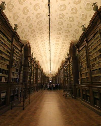 A long, narrow library hall with floor-to-ceiling wooden bookshelves on both sides, a vaulted ceiling with a repeating geometric pattern, and visitors visible in the distance.