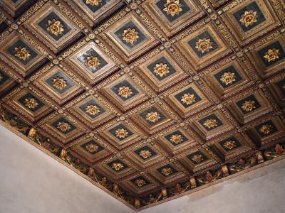 The image shows an ornate, coffered wooden ceiling with gilded floral rosettes set against dark backgrounds, framed by decorative molding and featuring a border of sculpted foliage along the wall-ceiling junction.