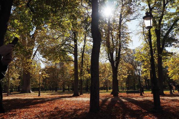 Parco Ducale