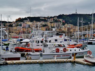 The image shows a harbor with several white Coast Guard (Guardia Costiera) boats docked at a pier, with a densely built hillside city in the background under an overcast sky.