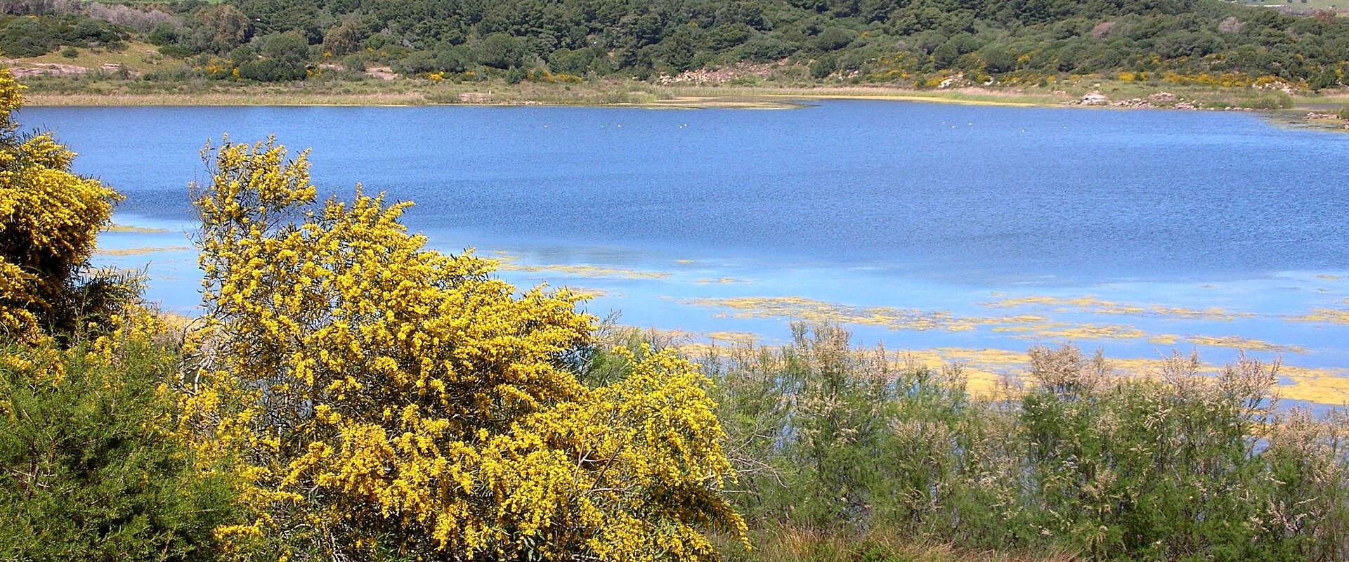 Lago di Baratz