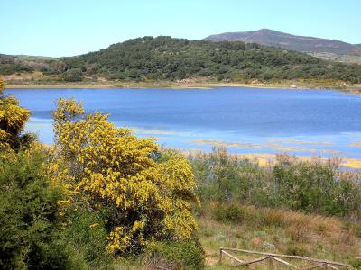Lago di Baratz, Sardinia