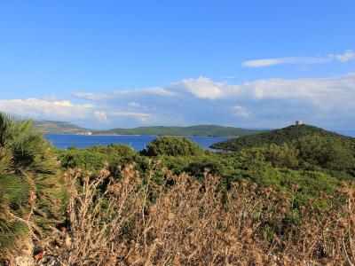A coastal landscape view from an elevated vantage point, showing dense Mediterranean scrub and a palm frond in the foreground, a bay with blue water and distant hills, and a small stone tower on a green hilltop to the right under a partly cloudy s