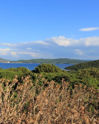 A coastal landscape view from an elevated vantage point, showing dense Mediterranean scrub and a palm frond in the foreground, a bay with blue water and distant hills, and a small stone tower on a green hilltop to the right under a partly cloudy s