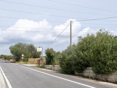 A paved two-lane road in a rural Mediterranean landscape with olive trees, oleander bushes, stone walls, overhead power lines, and a triangular warning sign; a white rectangular signpost is visible near the roadside but its text is illegible.