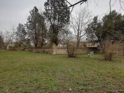 Historic Cemeteries