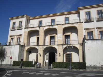 A large, multi-story historic building with arched ground-floor loggia, balconies, and a plaque reading "MUSEO CORREALE DI TERRANOVA" above the central entrance, set against a clear blue sky with street-level hedges and a lamppost in front.
