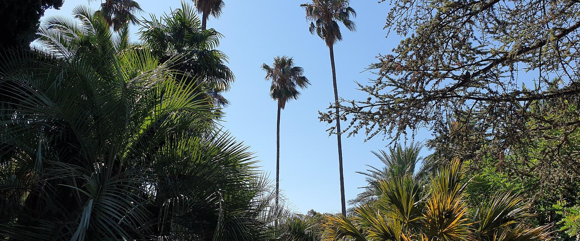 Villa Ormond