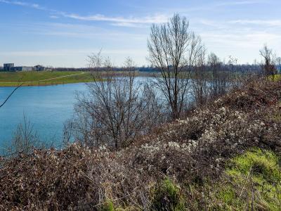 A landscape view of a large, turquoise-colored body of water surrounded by grassy embankments and bare winter trees, with distant buildings visible on the horizon under a blue sky.