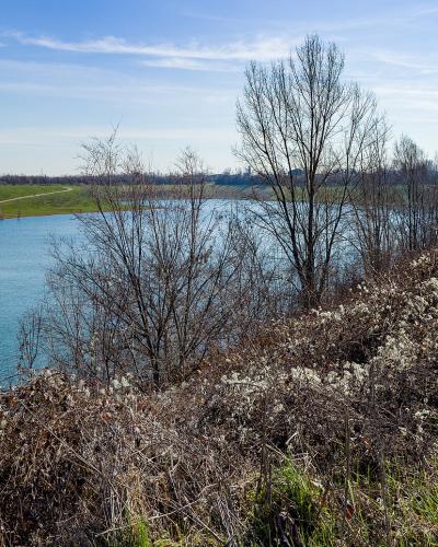 A landscape view of a large, turquoise-colored body of water surrounded by grassy embankments and bare winter trees, with distant buildings visible on the horizon under a blue sky.