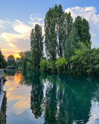 A scenic view of a calm, greenish-blue river lined with tall poplar trees and lush vegetation, with a stone bridge visible in the distance under a sunset sky; a concrete railing is on the left foreground.