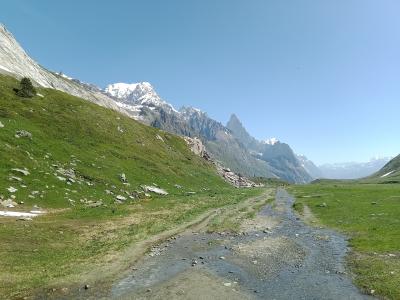 A dirt and gravel path winds through a green alpine meadow with scattered rocks and patches of snow, leading toward a backdrop of rugged, snow-capped mountain peaks under a clear blue sky.