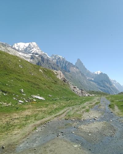 A dirt and gravel path winds through a green alpine meadow with scattered rocks and patches of snow, leading toward a backdrop of rugged, snow-capped mountain peaks under a clear blue sky.