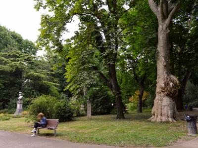 A park scene featuring a large tree trunk on the right, a person sitting on a bench on the left, and a statue on a pedestal in the background among dense greenery.