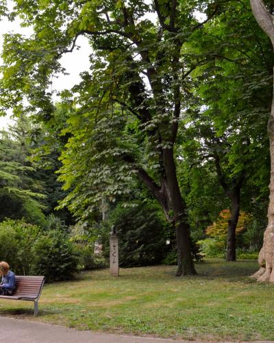 A park scene featuring a large tree trunk on the right, a person sitting on a bench on the left, and a statue on a pedestal in the background among dense greenery.