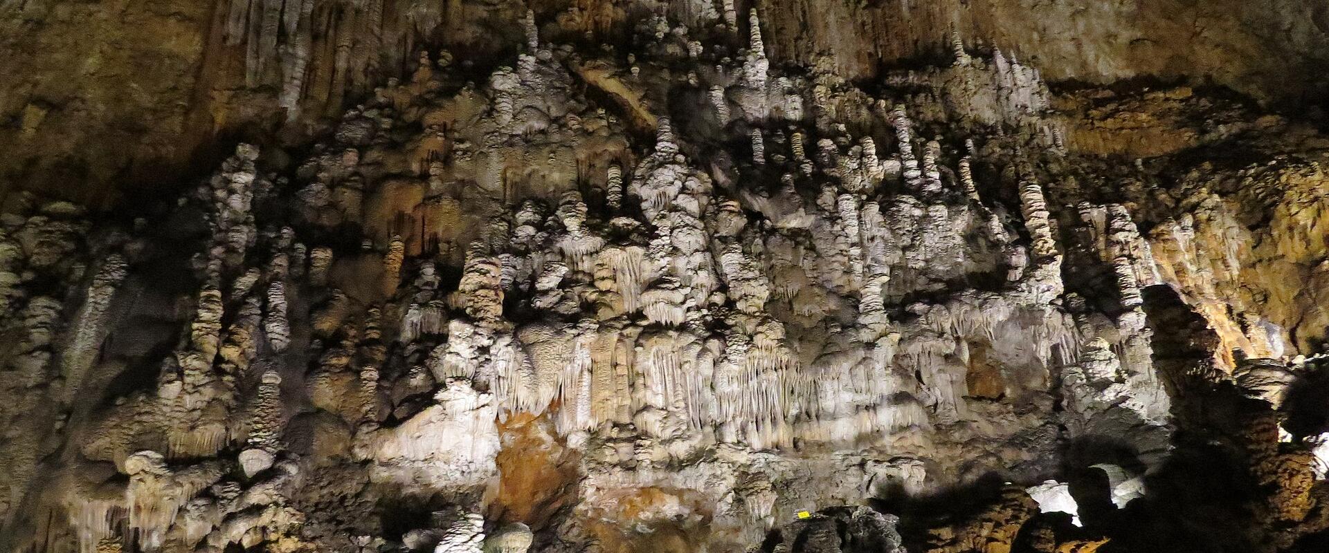 Grotta Gigante