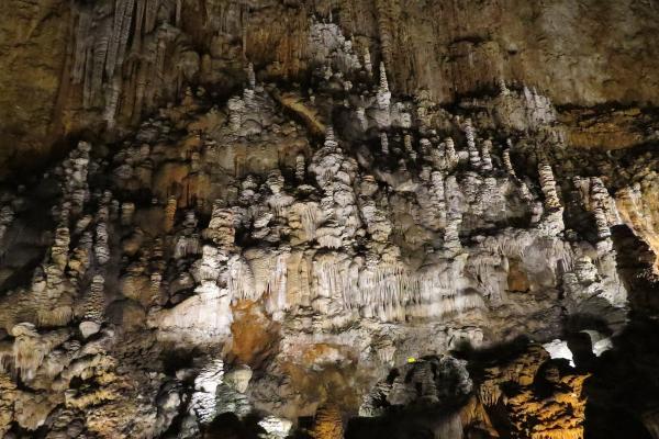 Grotta Gigante