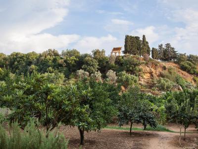 A landscape view of an agricultural garden with rows of fruit trees in the foreground and a small classical temple ruin visible on a hilltop in the background.