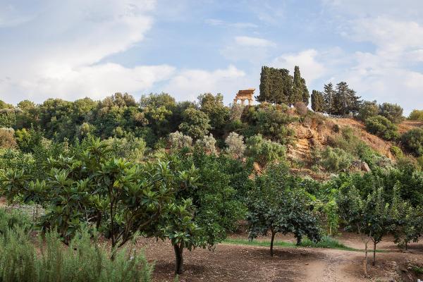 Giardino della Kolymbetra