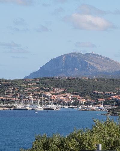 A coastal view of a marina filled with sailboats and yachts, nestled among terracotta-roofed buildings on a green hillside, with a prominent rocky mountain (likely Monte Pizzalto) in the background under a partly cloudy sky.