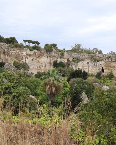 A wide landscape view of a large, excavated limestone quarry with steep rock faces, numerous caves and openings, and dense Mediterranean vegetation in the foreground and along the rim.