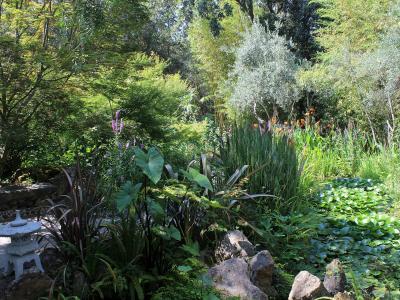 A lush garden scene featuring a stone lantern, lily pads, and dense foliage with bamboo and other plants.