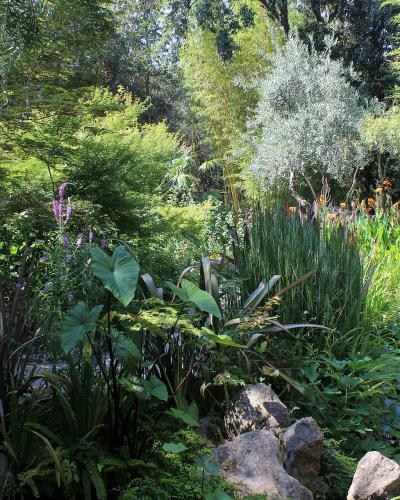 A lush garden scene featuring a stone lantern, lily pads, and dense foliage with bamboo and other plants.