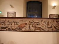 House of the Animal Mosaics