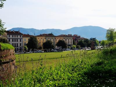 A view from atop a grassy, tree-lined rampart showing a wide green promenade, historic buildings with terracotta roofs, parked cars, and distant hills under a bright sky.