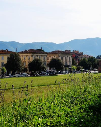 A view from atop a grassy, tree-lined rampart showing a wide green promenade, historic buildings with terracotta roofs, parked cars, and distant hills under a bright sky.