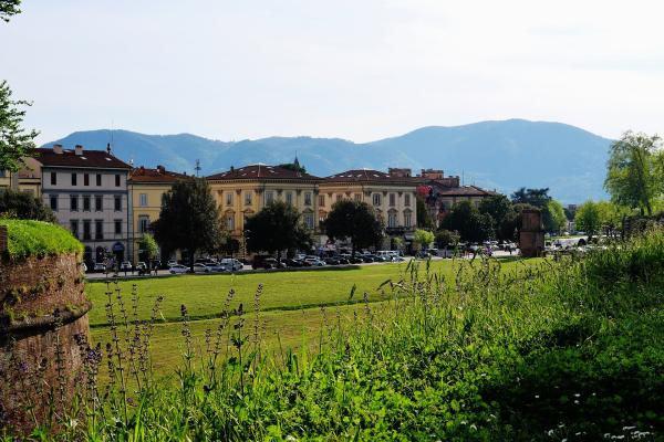 Lucca City Walls