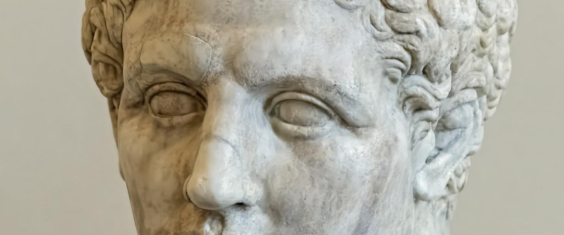 A close-up photograph of a marble sculpture bust of a male head with curly hair, displayed on a pedestal against a plain wall.