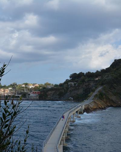 A long concrete pedestrian bridge extends over blue water toward a green, hilly island with scattered buildings, viewed from behind coastal foliage under a cloudy sky.