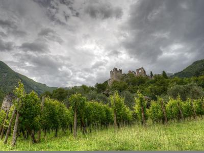 A landscape photograph showing a medieval stone castle ruin perched on a forested hilltop, with rows of green vineyards in the foreground under a dramatic cloudy sky.