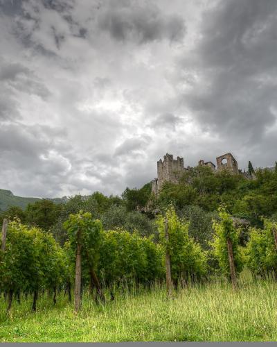 A landscape photograph showing a medieval stone castle ruin perched on a forested hilltop, with rows of green vineyards in the foreground under a dramatic cloudy sky.