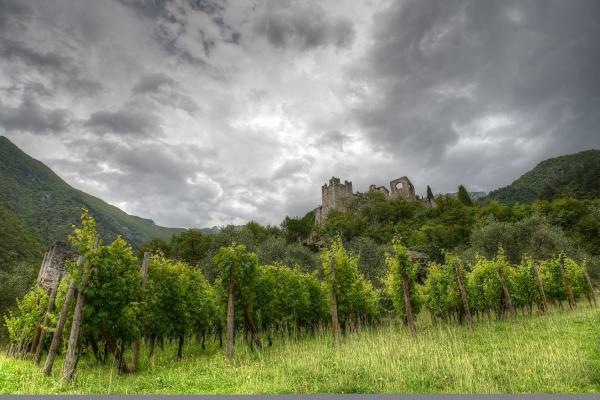 Castello di Avio