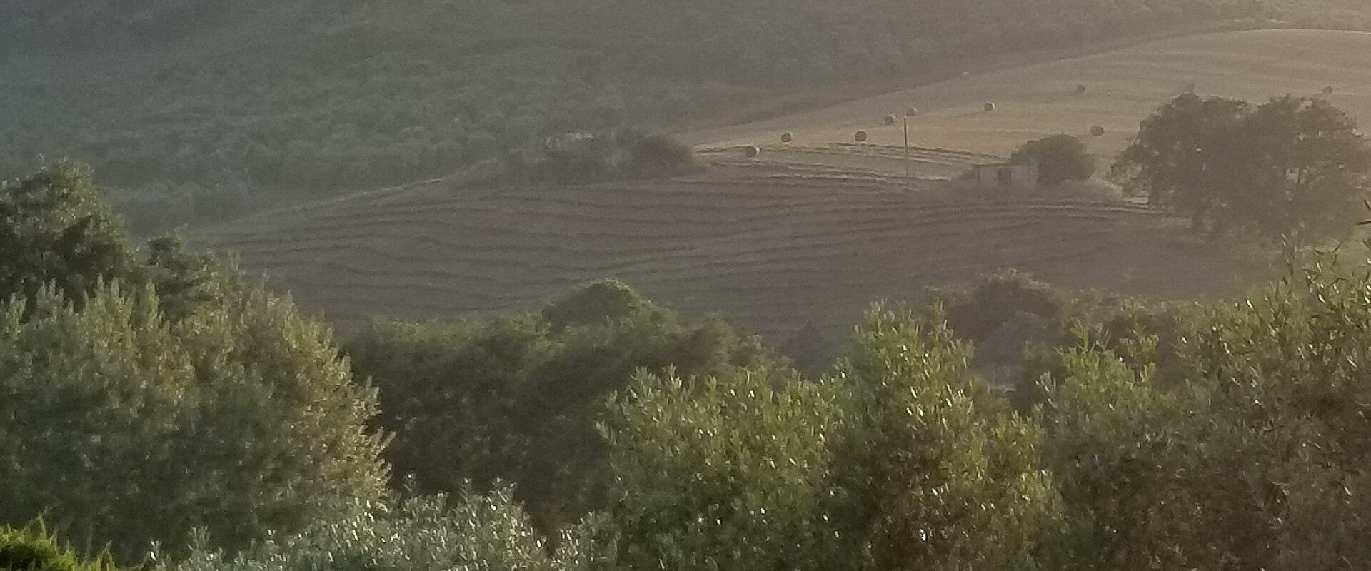 Parco Nazionale del Cilento e Vallo di Diano
