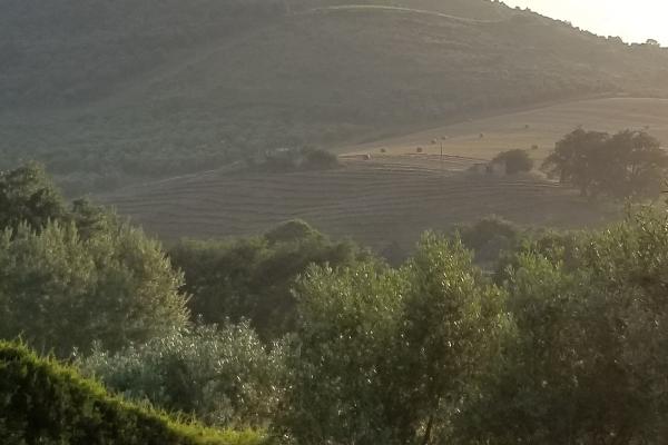 Parco Nazionale del Cilento e Vallo di Diano