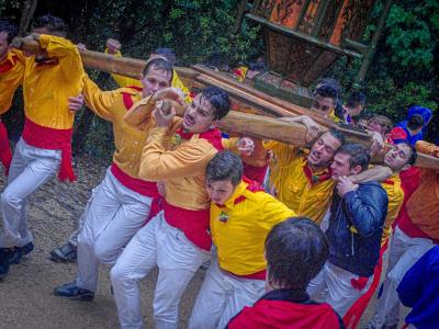 A group of men in yellow shirts, red sashes, and white trousers are straining to carry a large wooden structure on their shoulders along a dirt path in a wooded area.