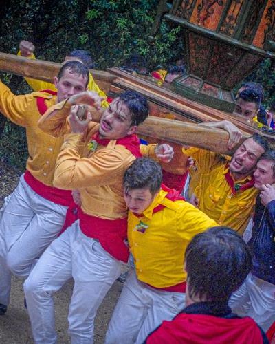 A group of men in yellow shirts, red sashes, and white trousers are straining to carry a large wooden structure on their shoulders along a dirt path in a wooded area.